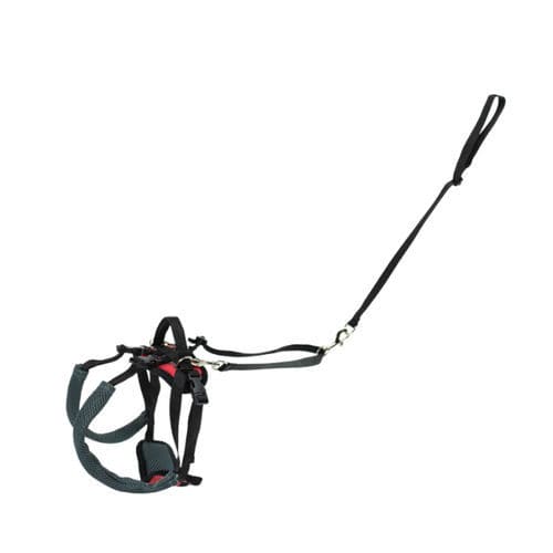 Arnés veterinario - CareLift™ - PetSafe - para perros