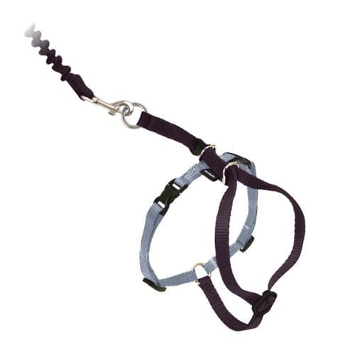Arnés veterinario - Come With Me Kitty™ - PetSafe