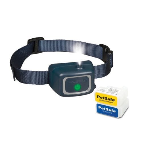 Collarín veterinario para perros - PAC00-16736 - PetSafe - reglable