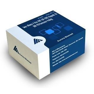 Reactivo en solución - AB MagPure - Aurora Instruments - suero de cerdo / de RT-qPCR / para extracción de ARN