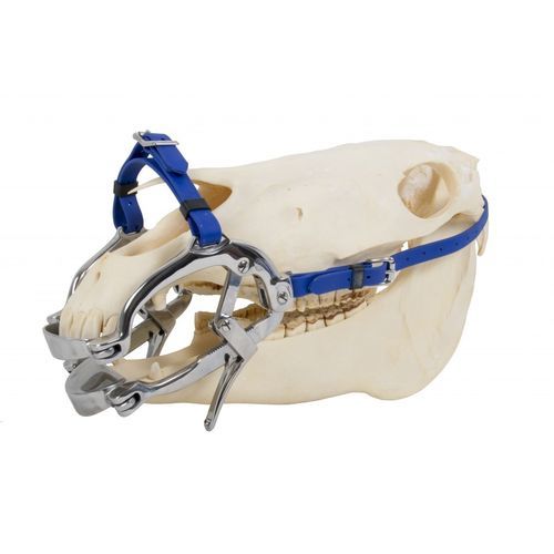 Espéculo veterinario para odontología - Millenium pony  - Equus Dental - para equinos