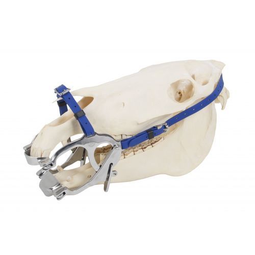 Espéculo veterinario para odontología - Premium pony  - Equus Dental - para equinos