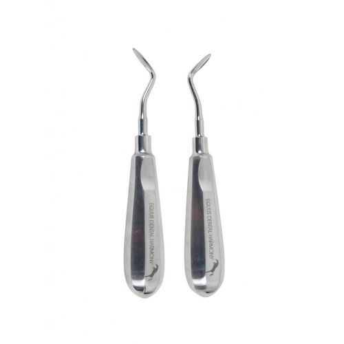 Elevador dental veterinario - STO-ECDDL - Equus Dental - curvo / para dientes de lobo / de acero inoxidable