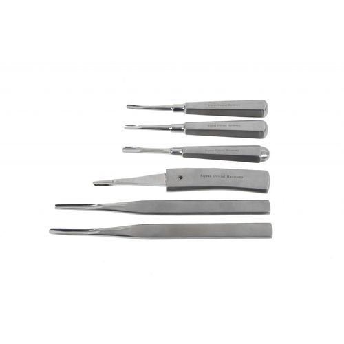Elevador dental veterinario - STO-KIT6E01IC - Equus Dental - recto / para dientes de lobo / para fragmentos dentales