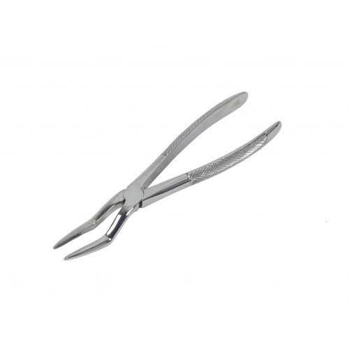 Pinza dental veterinario - DAV-DCDL8 - Equus Dental - de extracción dental / curva / de acero inoxidable