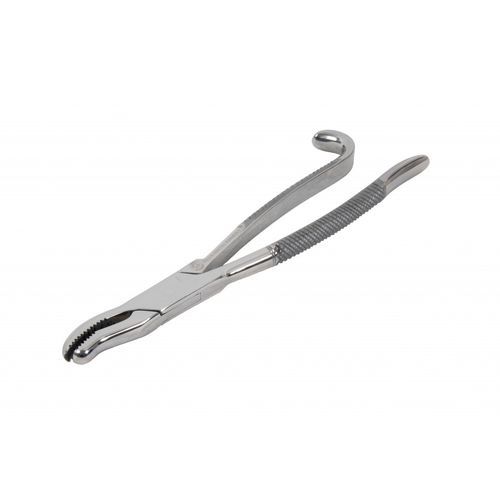Pinza dental veterinario - STO-DAVDI11 - Equus Dental - de extracción dental / de acero inoxidable