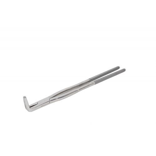 Pinza dental veterinario - DAV-DFMU - Equus Dental - de extracción dental / de acero inoxidable