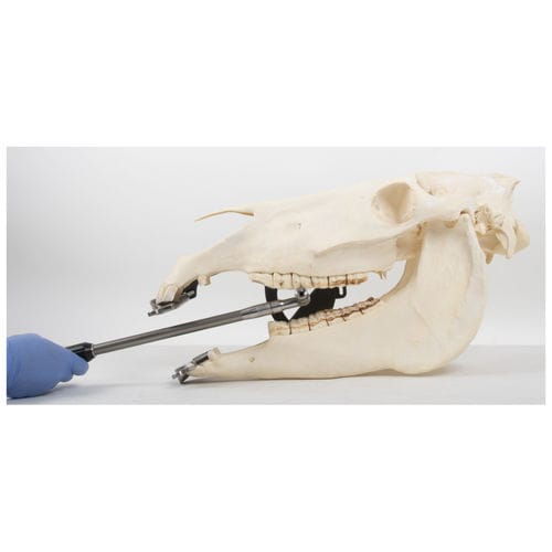Pieza de mano para équidos - EFRA-EBS5050 - Equus Dental - recta / de acero inoxidable / de aluminio