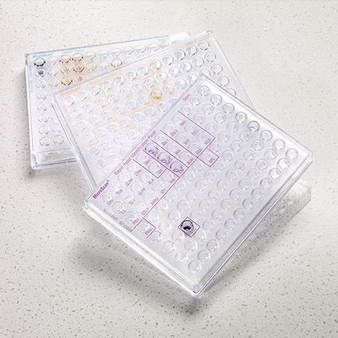 Kit de prueba para enfermermedades infecciosas - B10 series - Beckman Coulter - para análisis de identificación / para bacterias / para levaduras