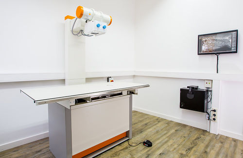 Sistema de radiografía veterinaria digital - Amadeo V - OR Technology - Oehm und Rehbein - analógico