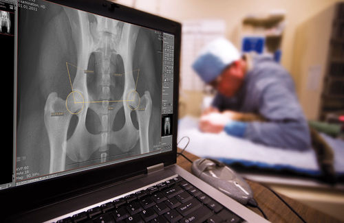 Software de gestión - dicomPACS® vet Basic  - OR Technology - Oehm und Rehbein - para radiología veterinaria