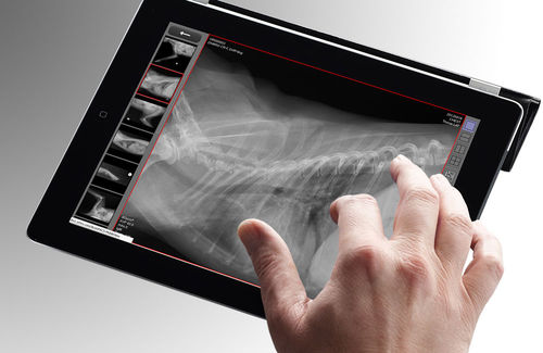 Aplicación web de diagnóstico - dicomPACS® vet MobileView - OR Technology - Oehm und Rehbein - médica / para imagen veterinaria / procesos basados en la web