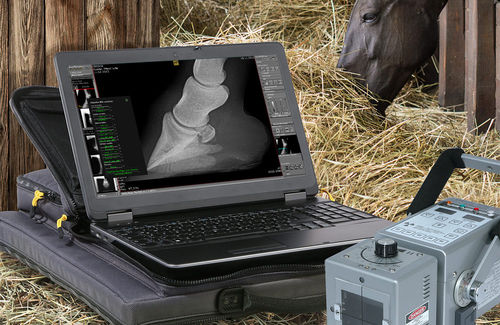 Módulo de software de análisis - dicomPACS® vet - OR Technology - Oehm und Rehbein - de radiología / veterinario