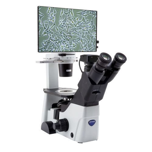 Microscopio óptico - IM-300D - Optika Italy - digital / de laboratorio / invertido
