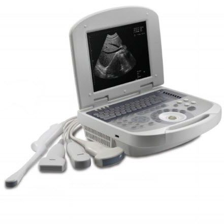 Ecógrafo portátil - Dolphi pro    - Meditech Equipment - para ecografía polivalente / blanco y negro / consola integrada