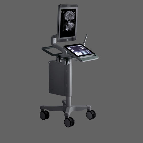 Ecógrafo con soporte, compacto - bkSpecto - BK Ultrasound - para ecografía urológica / blanco y negro / pantalla táctil