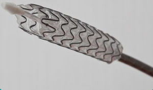 Stent biliar - BIS - Allium Medical Solutions - de nitinol
