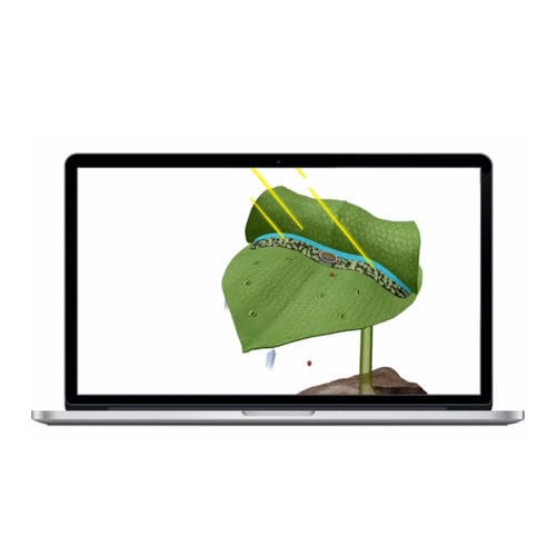 Software médico - Visible Biology - Visible Body - de visualización 3D / de formación / de simulación en 3D