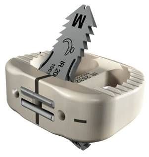 Caja intersomática lumbar - ROI-A®  - LDR Medical - vía anterior / de PEEK