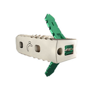 Caja intersomática lumbar - Avenue® L - LDR Medical - vía lateral