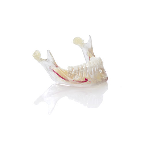 Material dental de resina - VeroDent PureWhite DEN847™ - Stratasys - ortodóntico / para impresión en 3D / de modelización