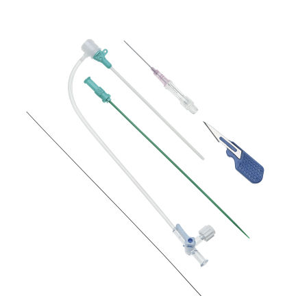 Vaina de acceso radial - DXQ series - Demax Medical Technology - femoral / hidrofílica