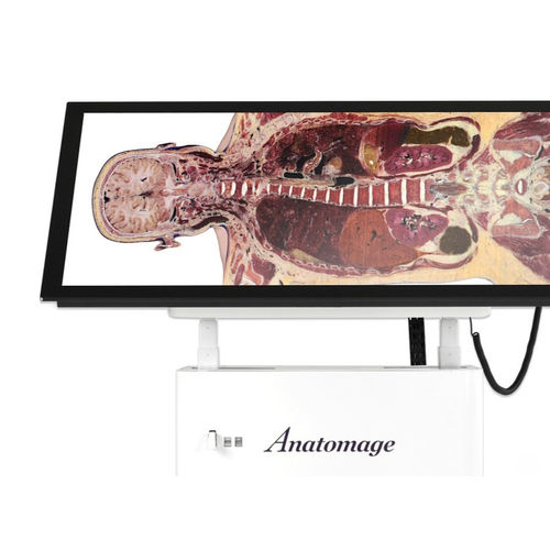 Mesa de anatomía para formación - Alpha - Anatomage - de disección virtual / rectangular
