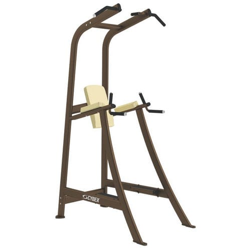 Silla romana con barra de tracción - Free Weights - Cybex