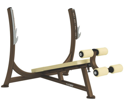 Banco de musculación invertido - Free Weights - Cybex - con soporte para mancuernas