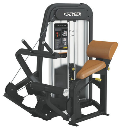 Máquina de musculación extensión de espalda - Eagle NX - Cybex