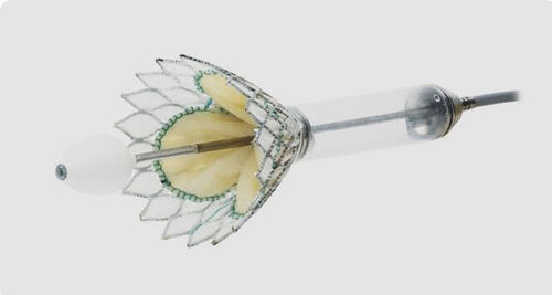 Bioprótesis valvular mitral - Cardiovalve - Valtech - sin suturas