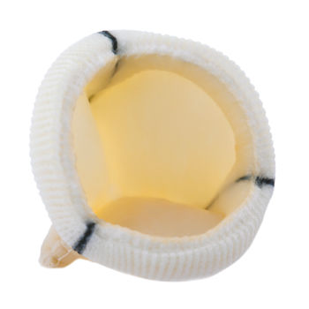 Bioprótesis valvular aórtica - Dokimos® Plus - Labcor - de tejido bovino