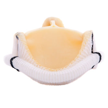 Bioprótesis valvular mitral - Dokimos® Plus - Labcor - de tejido bovino