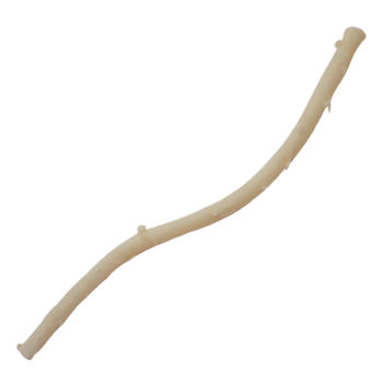 Bioprótesis vascular de arteria - 10171250026 - Labcor - alotrasplante