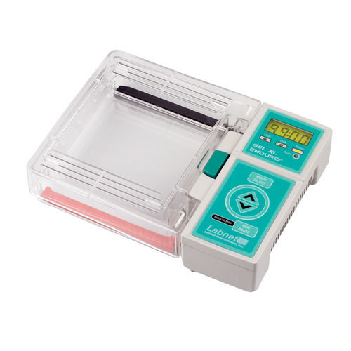 Sistema de electroforesis horizontal - ENDURO™ Gel XL - Labnet International