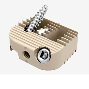 Caja intersomática cervical - CA series - Genoss - vía anterior / de PEEK