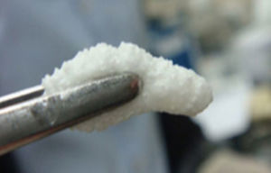 Material dental de composite - OSTEON™ Collagen - Genoss - para restauración dental