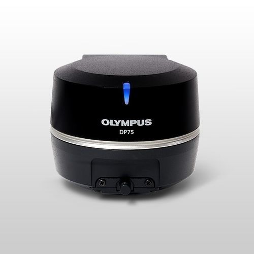 Cámara para microscopio - DP75 - Evident - Olympus Scientific Solutions - digital / de infrarrojos / fluorescente