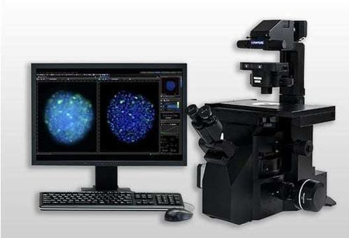 Sistema de gestión y análisis para informes - cellSens - Evident - Olympus Scientific Solutions - con inteligencia artificial / de vídeo / de visualización