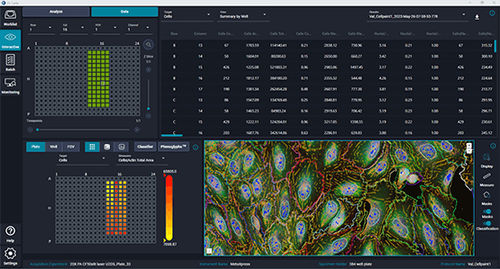 Software médico - IN Carta®  - Molecular Devices - de análisis / de análisis de imágenes / de detección
