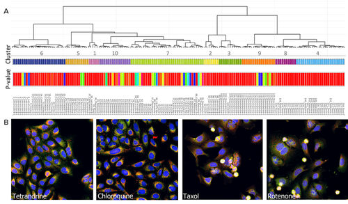 Software de análisis - StratoMineR™ - Molecular Devices - de análisis de imágenes / de gestión / de visualización
