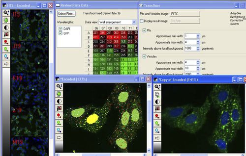 Software de planificación - MetaXpress®  - Molecular Devices - de control / de adquisición / de análisis