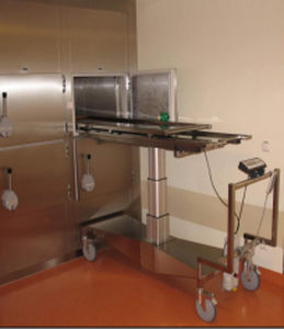 Cámara mortuoria para camillas mortuorias - MA-1100 - MEDIS Medical Technology - 2 cuerpos / de carga frontal / con 2 puertas
