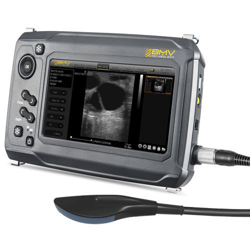Ecógrafo veterinario portátil - BestScan® S6 Convex-Array Vet - BMV - multifuncional / para animales pequeños / para équidos