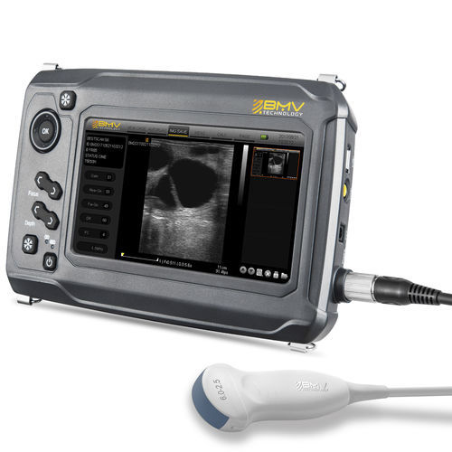 Ecógrafo veterinario de mano - BestScan® S6 Microconvex-Array Vet - BMV - multifuncional / para animales pequeños / para animales grandes