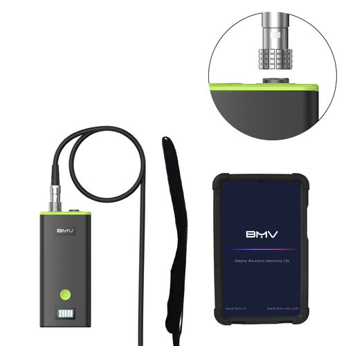 Ecógrafo veterinario de mano - BestScan® S7 Plus Endocavitary Vet - BMV - multifuncional / para animales pequeños / para animales grandes