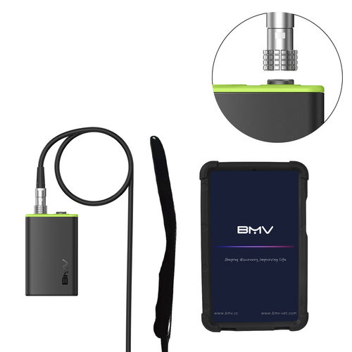 Ecógrafo veterinario de mano - BestScan® S7 Endocavitary Vet - BMV