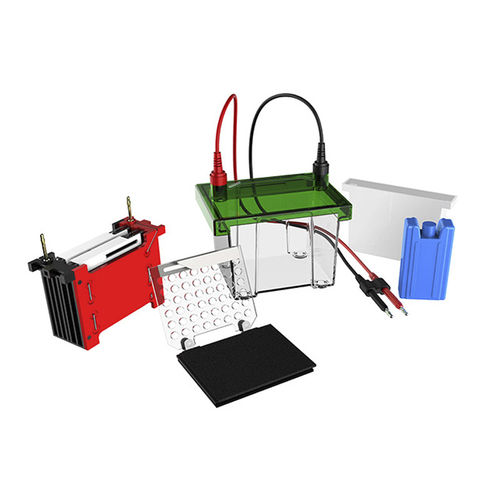 Cubeta de electroforesis horizontal - BK-TET01 - Biobase - para ADN