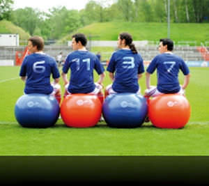 Pelota de Pilates de grandes dimensiones - SISSEL®  - Sissel - para adulto