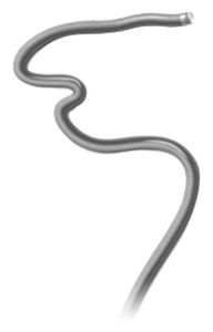 Microcatéter de guiado - Sofia® Plus®  - MicroVention - neurovascular / para humanos